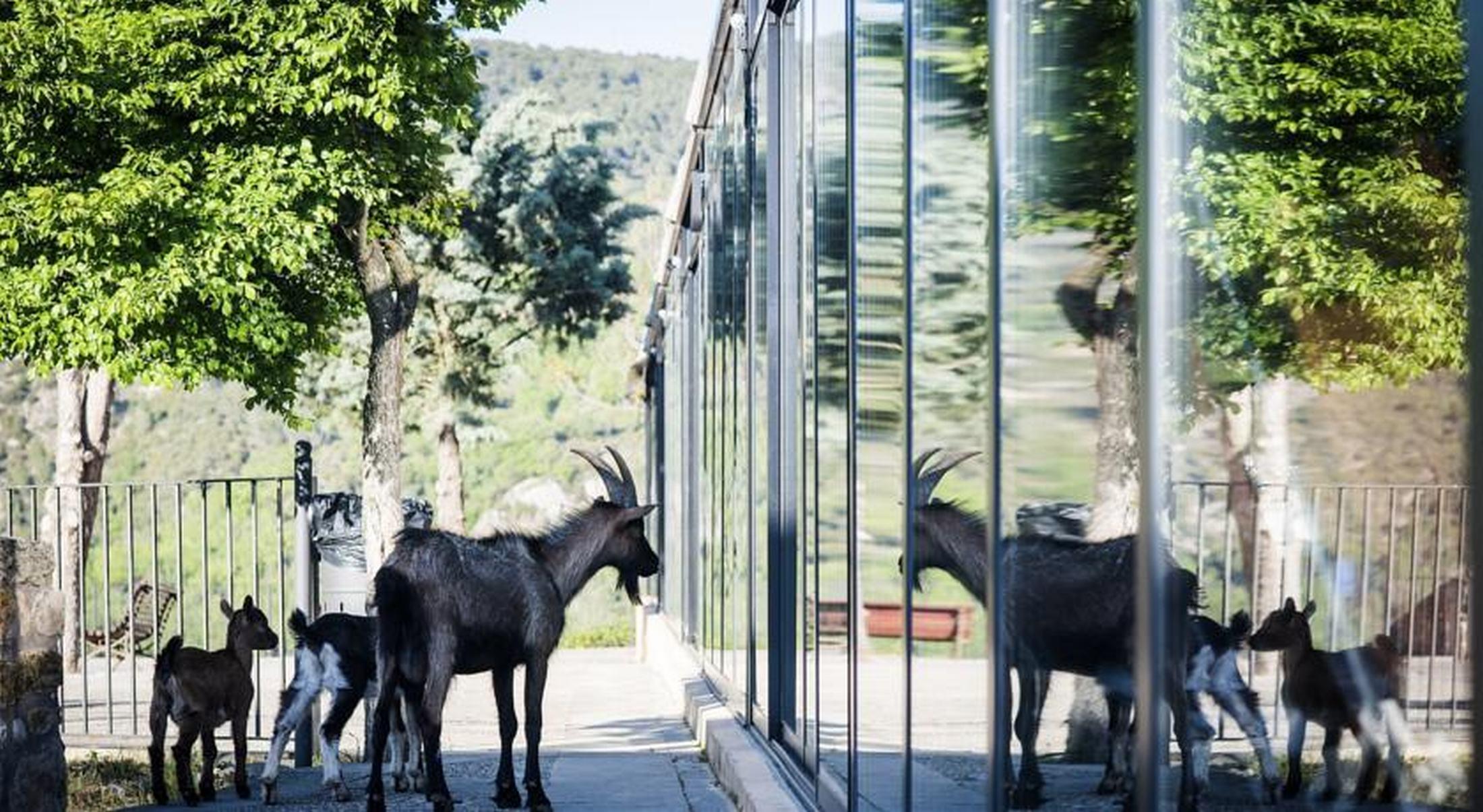 Camping & Bungalows Ligueerre De Cinca エクステリア 写真