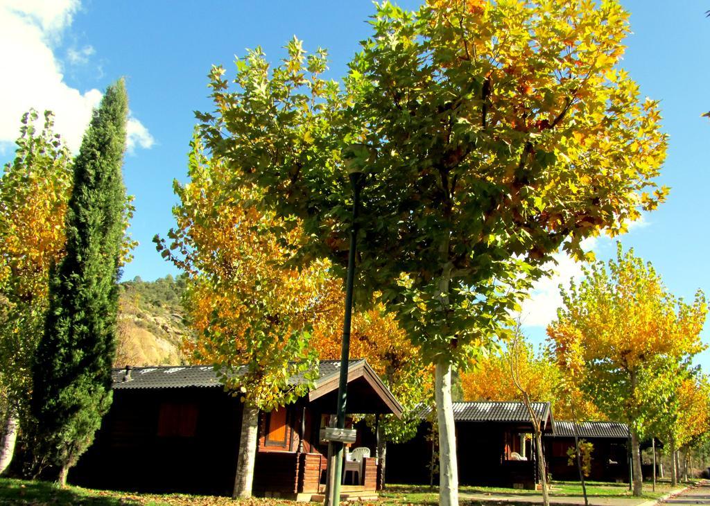 Camping & Bungalows Ligueerre De Cinca エクステリア 写真